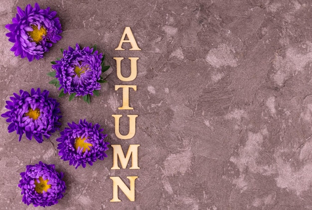 The inscription autumn and fall flowers on a gray flowers background Copy space