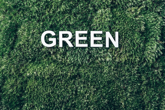 Inscription Green on moss green grass background Top view Copy space Banner Biophilia concept Nature backdrop