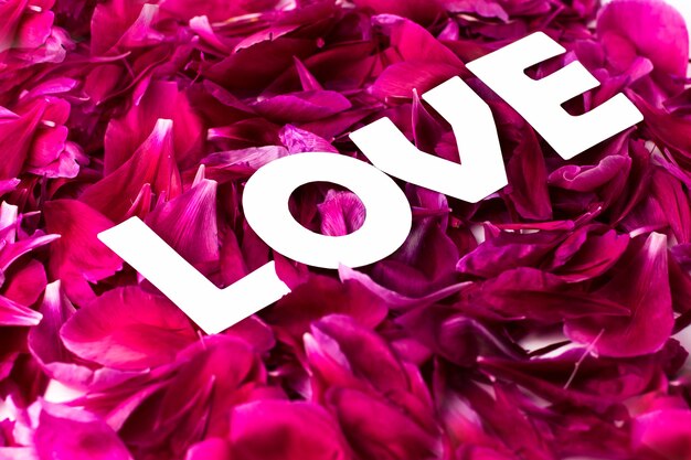 The inscription Love on the background of peony petals