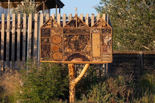 Insect hotel in the countryside