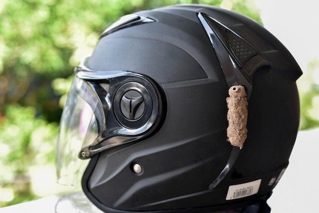 Insect nest on the black helmet