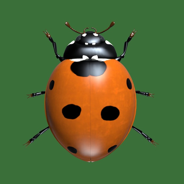 Insects are ladybugs 3d illustration