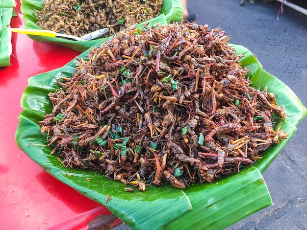 Insects fried