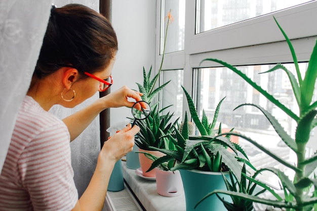 Inspection of domestic plants for the presence of pests and diseases with a magnifying glass plant care