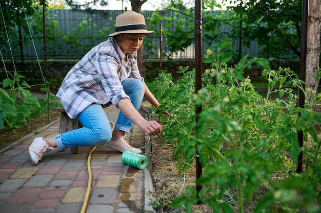 Inspired woman gardener tying up a rope around green tomato plant with yellow flowers in her own countryside eco farm