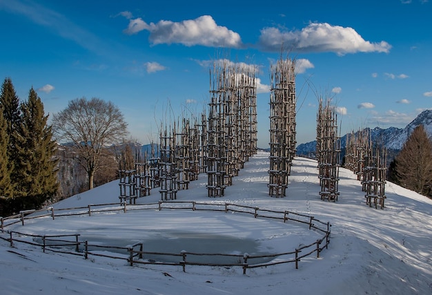 Installation Art trees in the snow