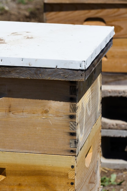 Installation of bee hives at new location.