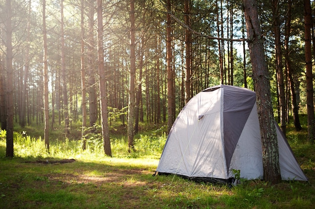 Installed tourist tent in nature in the forest. Domestic tourism, active summer holidays, family adventures. Ecotourism, social distance. Copy space