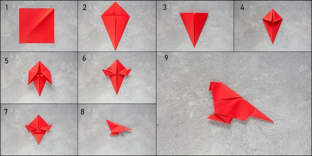 Photo instructions step by step origami parrot. children's creativity