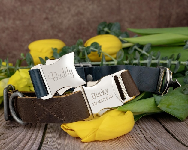 interchangeable leather straps in different colors