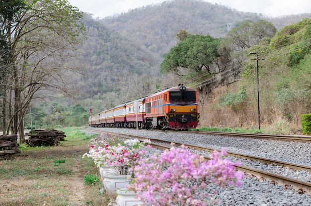 Intercity train passing the countryside