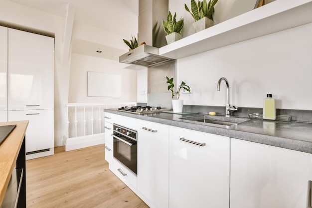 The interior of an attractive kitchen with lots of pots of flowers