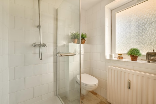 The interior of the bathroom with indoor plants a hinged toilet and a shower cabin