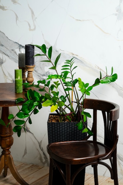 Interior decor with potted plant on wooden table