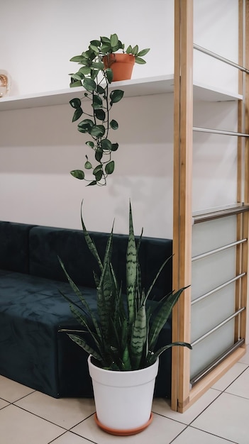 Interior decoration with potted plant and shelf