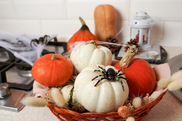 Interior Halloween with pumpkins and spider in the kitchen.