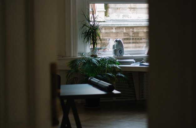 Interior of house