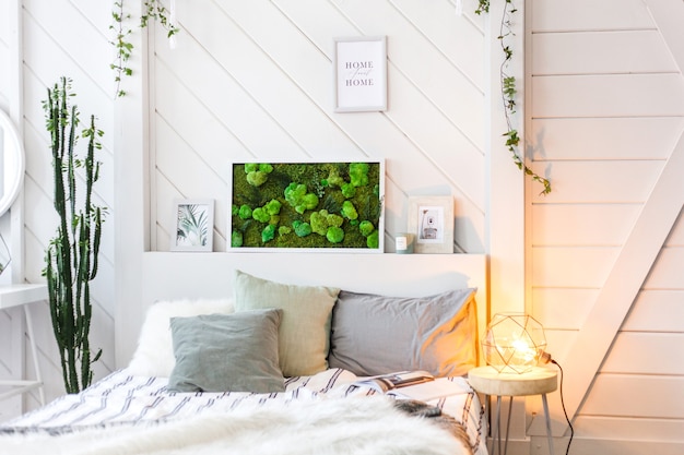 Interior light wall with a picture of moss, white walls, plants, candles and frames