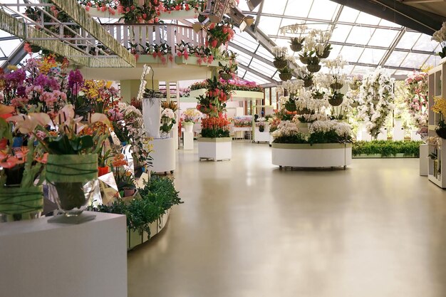 Interior view of flower store