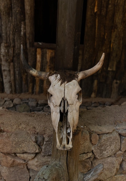 internal skeleton of a tomb of the giants reconstruction of the Nuragic period