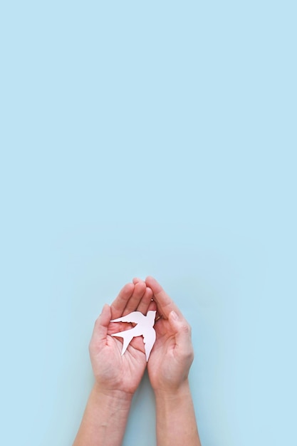 International and national bird day Hands of mother and child holding white bird on blue background