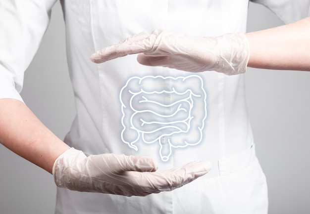 Intestine colon bowel in doctor hands Digestive and gastrointestinal diseases concept Gastroenterology and healthy microbiota Guts constipation microflora care