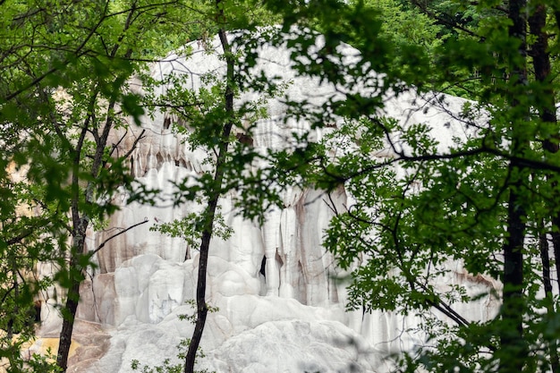 Intricate outgrowths of calcium carbonate on the rocks Bagni San Filippo Val d'Orcia Italy