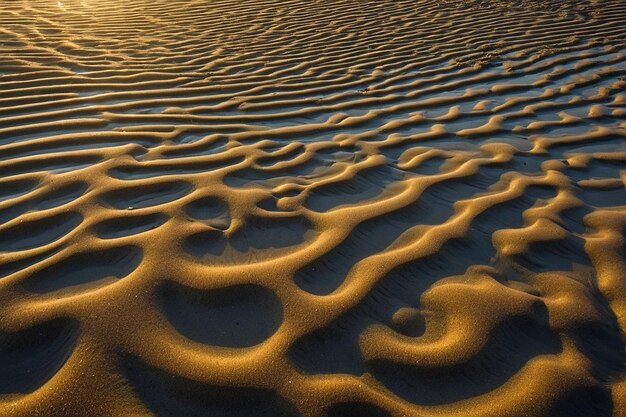 Photo intricate patterns of sand ripples on a tidal flat