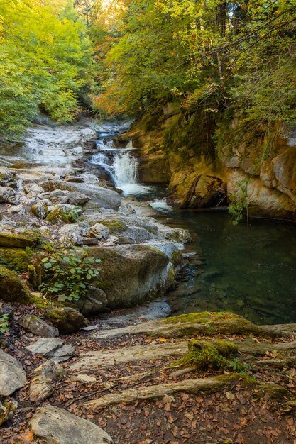 Irati forest or jungle in autumn, Cubos waterfall. Ochagavia, northern Navarra in Spain