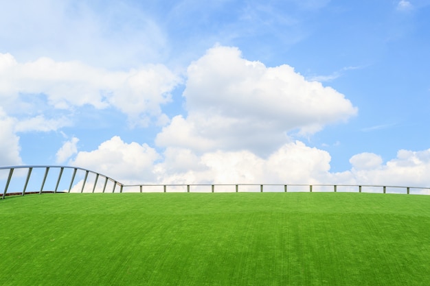 Iron fence on green grass