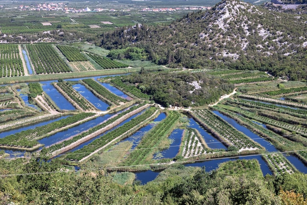 Irrigated fields, top view