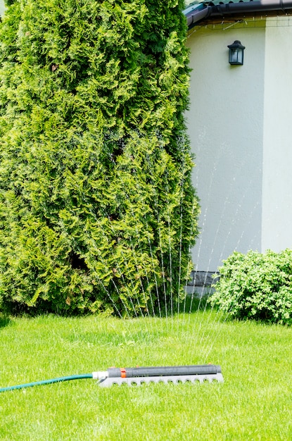 Irrigation system, sprinkler spaying water over green grass lawn