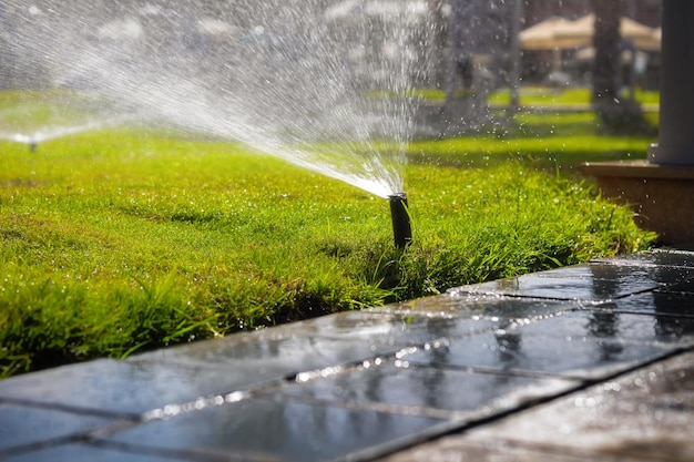 Irrigation system sprinkles water on the grass Lawn watering