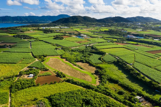 Ishigaki island of Japan