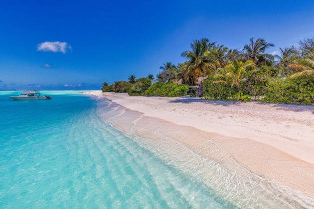 Island palm tree sea sand beach. Exotic beach landscape. Inspire tropical beach seascape horizon