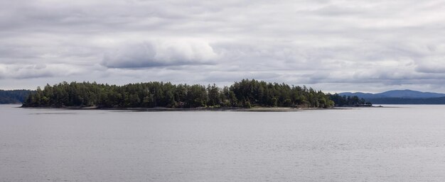 Island with trees surroiunded by ocean and mountains summer season