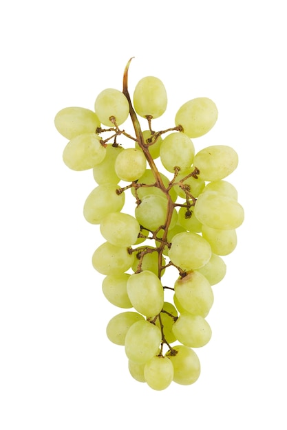 Isolate is a bunch of grapes on a white background. Close-up with a copy space for the text. Vertical orientation.