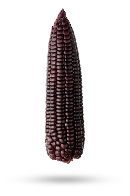 Isolate Purple corn with clipping path on white background.