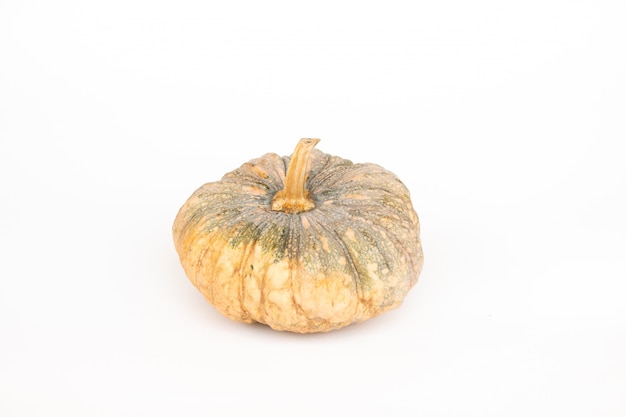 Isolate Set of pumpkin on white paper background