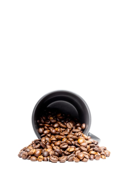 Isolated Arabica Coffee Beans in a Black Cup on White Background with Copyspace