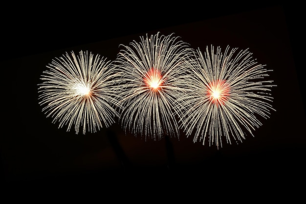 Isolated on black sky background Isolated firework ready to use for decoration in any photograph poster backdrop to celebrate the festival Christmas New year and any events