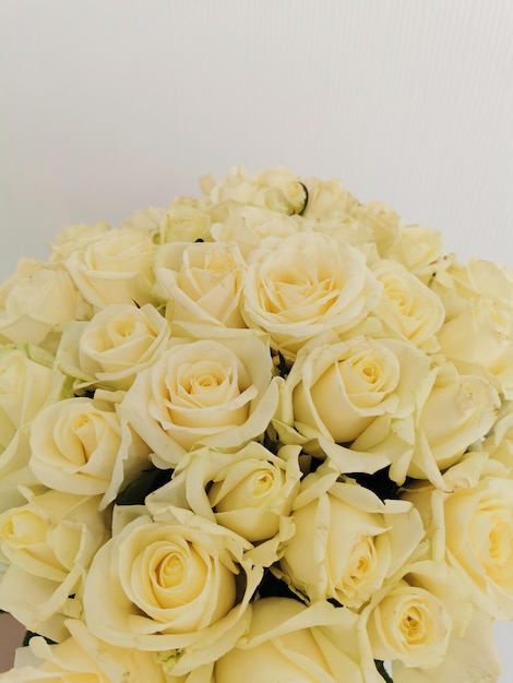 Isolated closeup of a huge bouquet of white roses