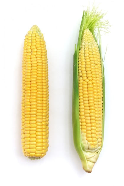 Isolated corn