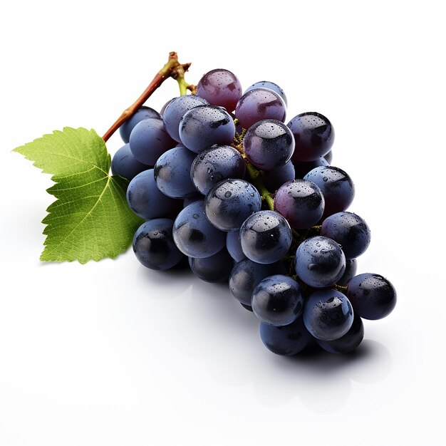 Isolated Dry Bunch of Blue Grapes