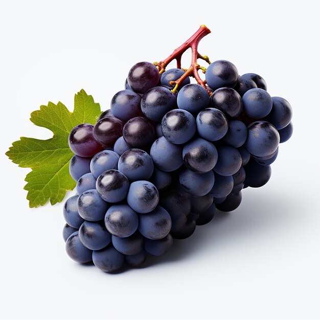 Isolated Dry Bunch of Blue Grapes