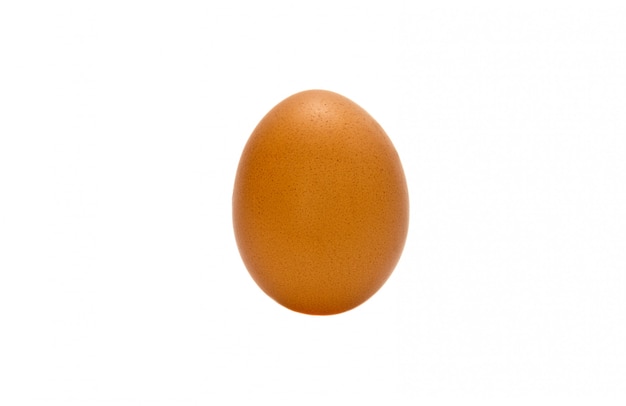 Isolated egg