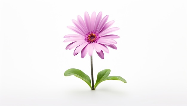 Isolated Front View Mini Flower