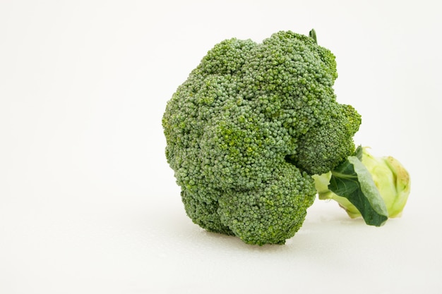 Isolated green broccoli vegetable on white. healthy food.