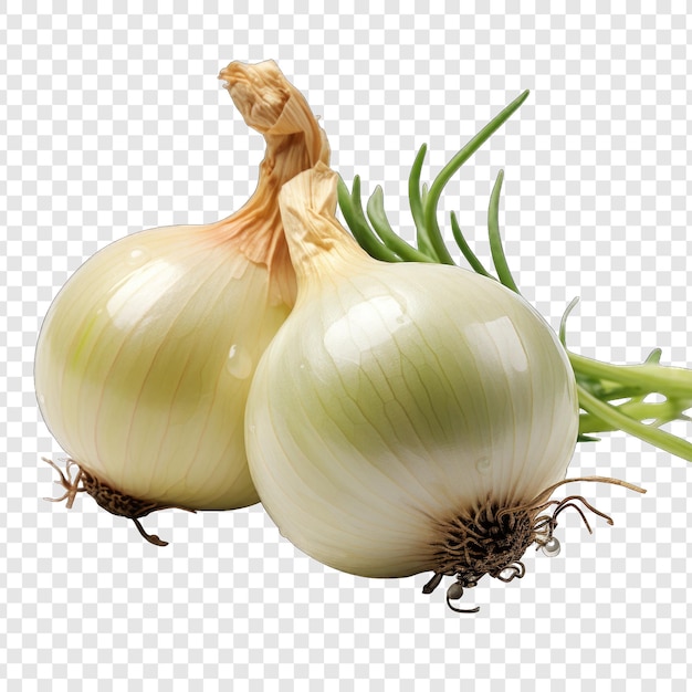 Isolated onion style png with White background cartoon generative IA