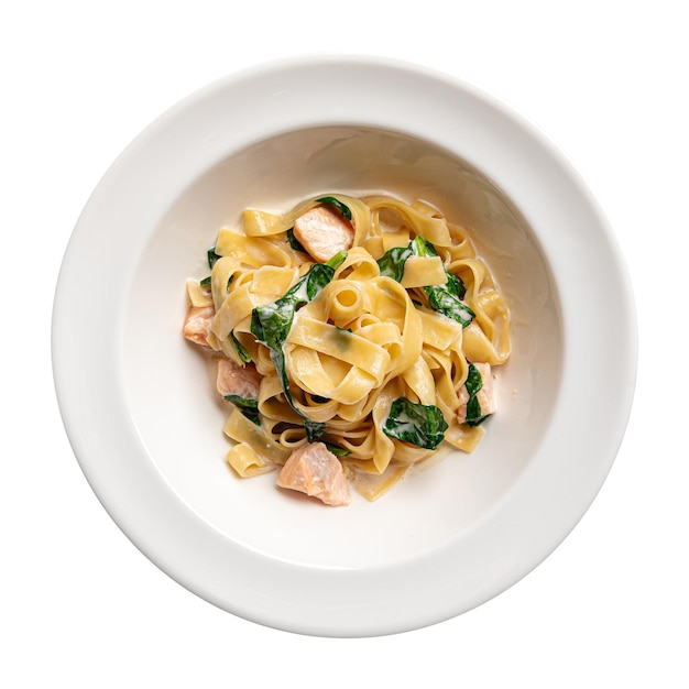 Isolated portion of salmon fettuccine with spinach